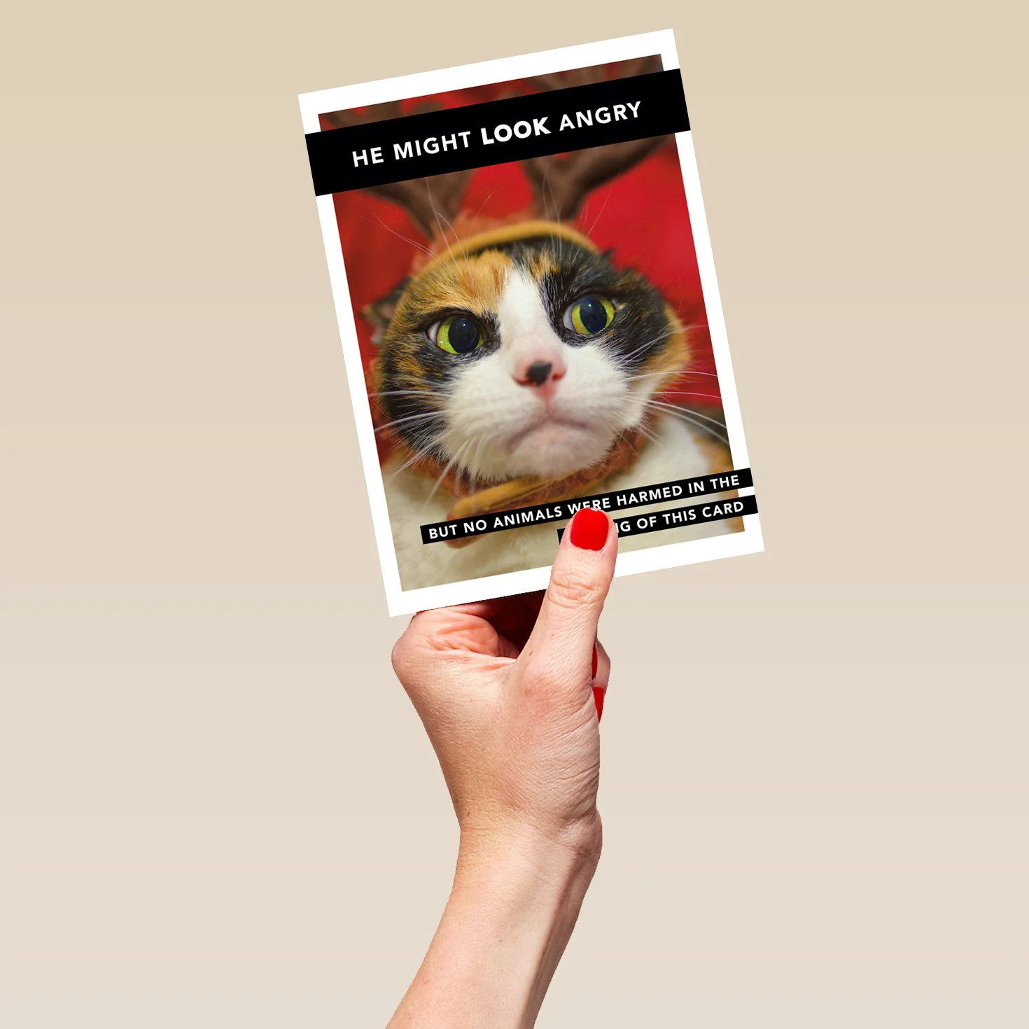 Personalised Shoebox Cat Christmas Card - Image 5