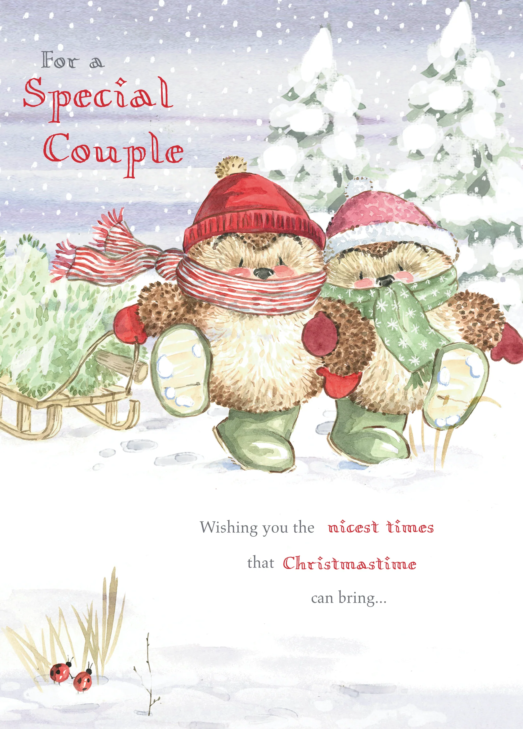 Personalised Special Couple Cute Christmas Country Companions Card