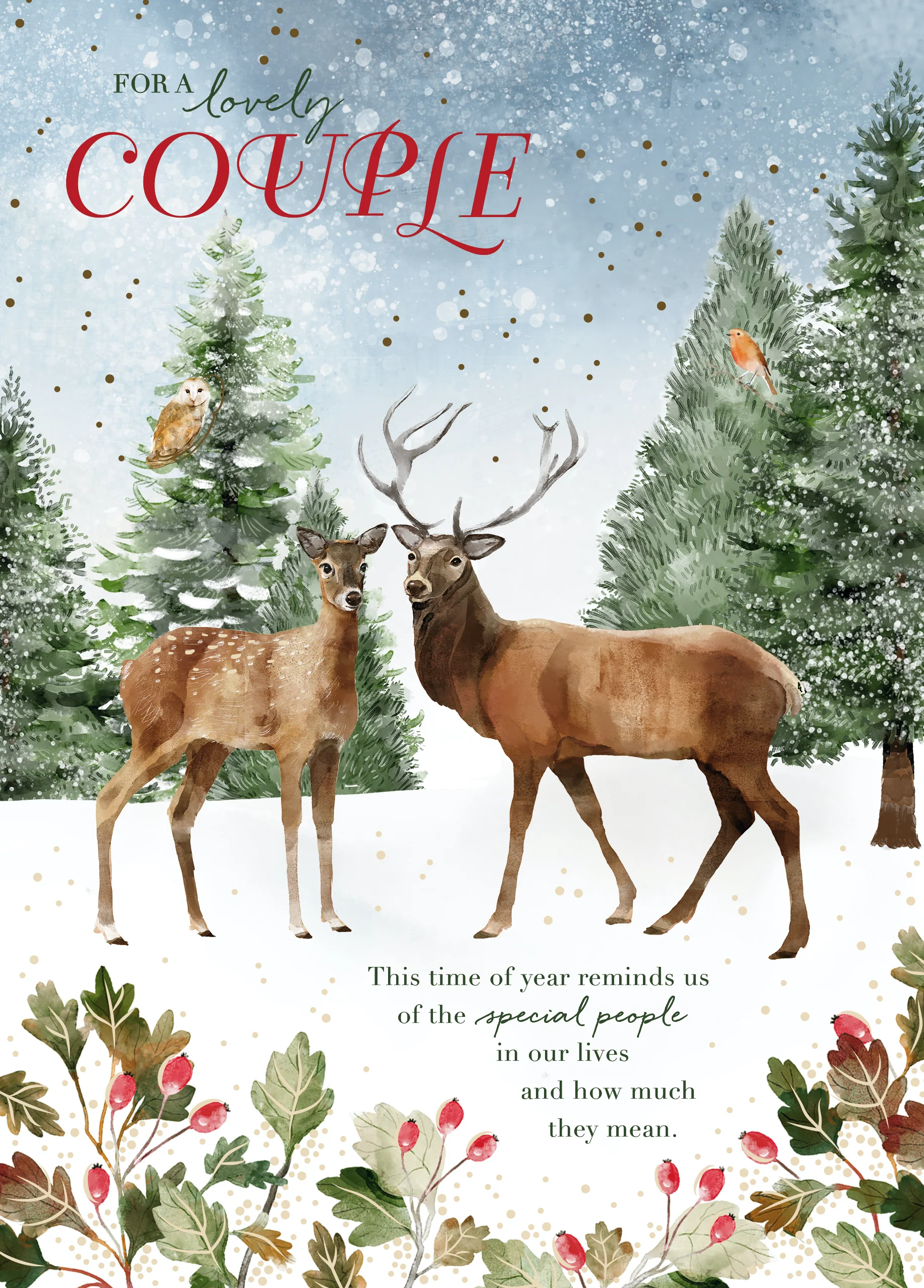 Personalised Traditional Christmas Special Couple Deer Card