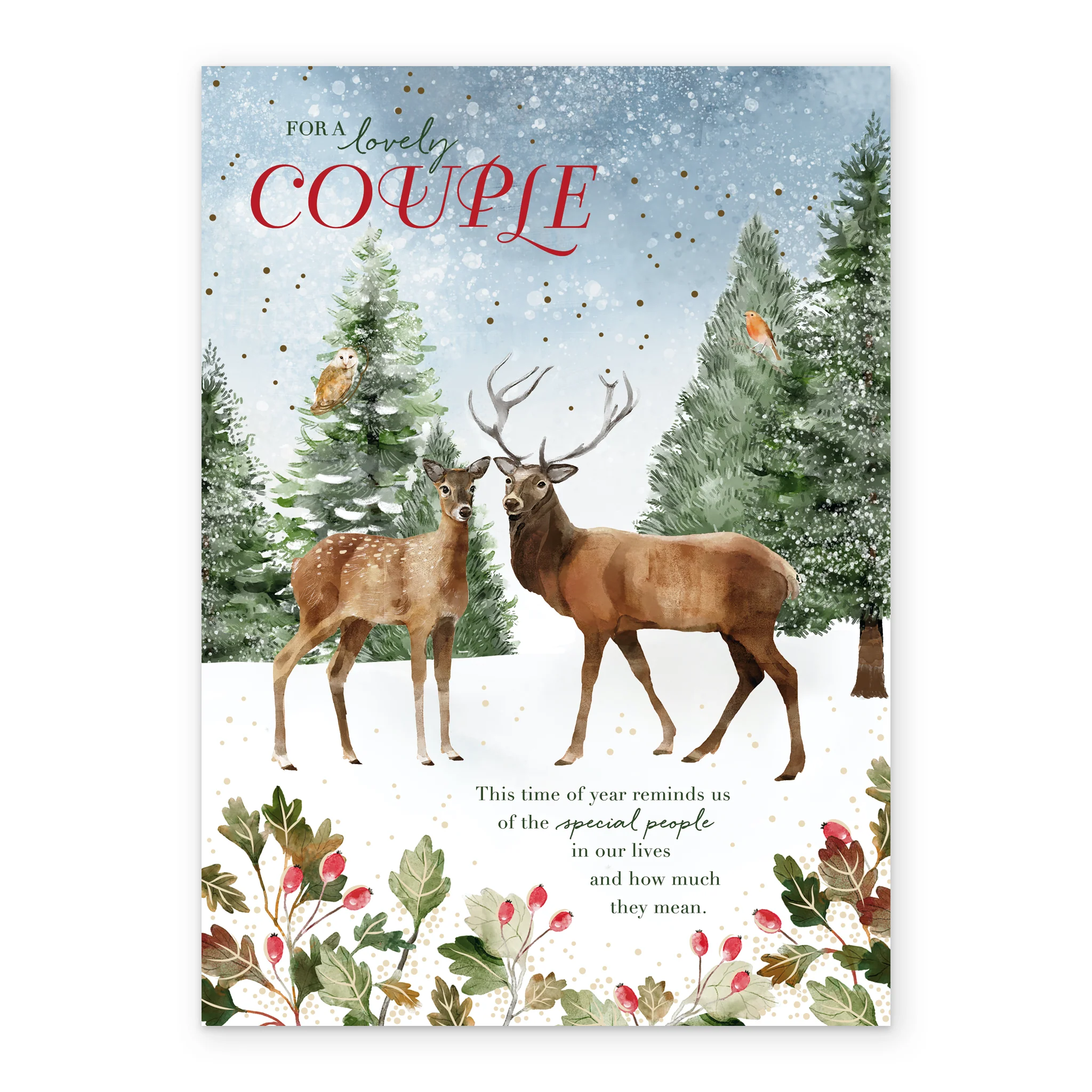 Personalised Traditional Christmas Special Couple Deer Card - Image 2