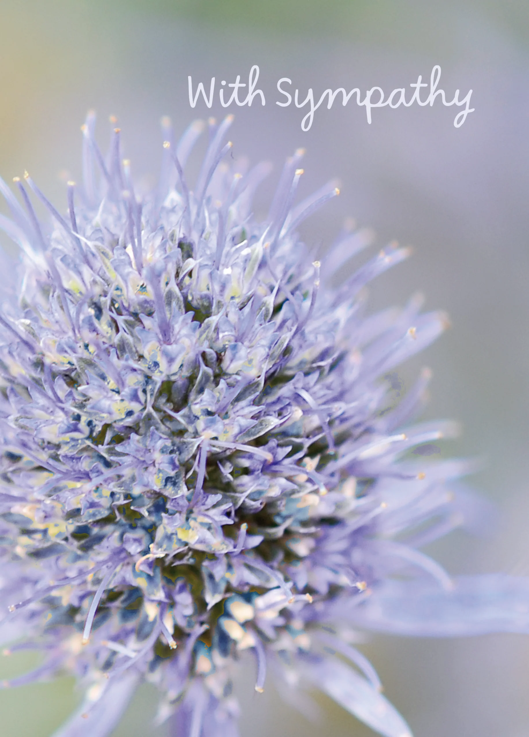 Personalised Traditional Floral Sympathy Card