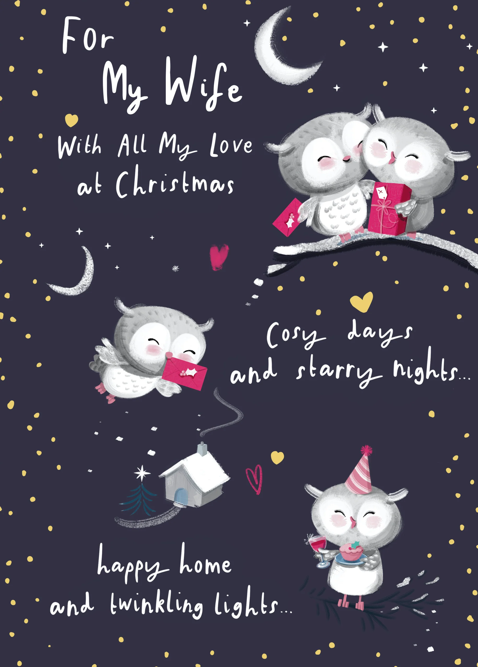 Personalised Wife Cute Owls Christmas Card