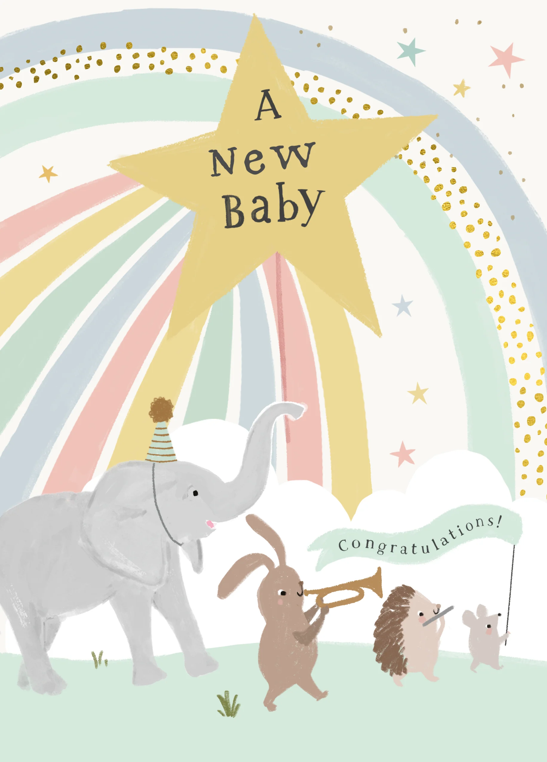 Personalised 'Wild Animal Parade' Illustrated New Baby Congratulations Card