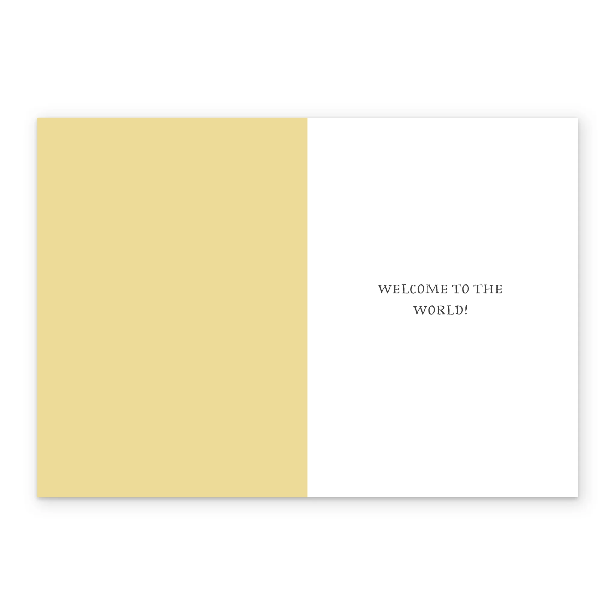 Personalised 'Wild Animal Parade' Illustrated New Baby Congratulations Card - Image 3
