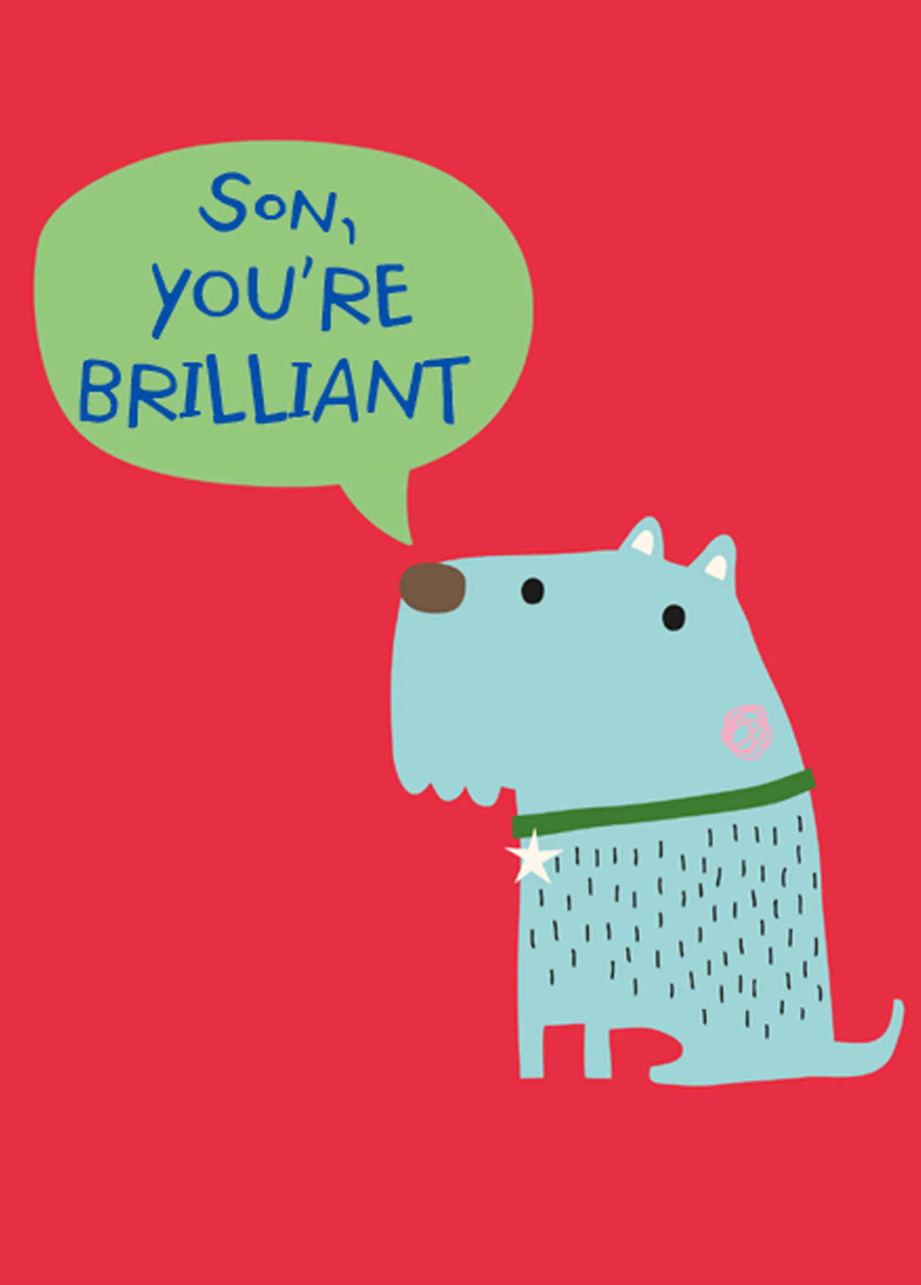 Personalised You're Brilliant Birthday Card For Son