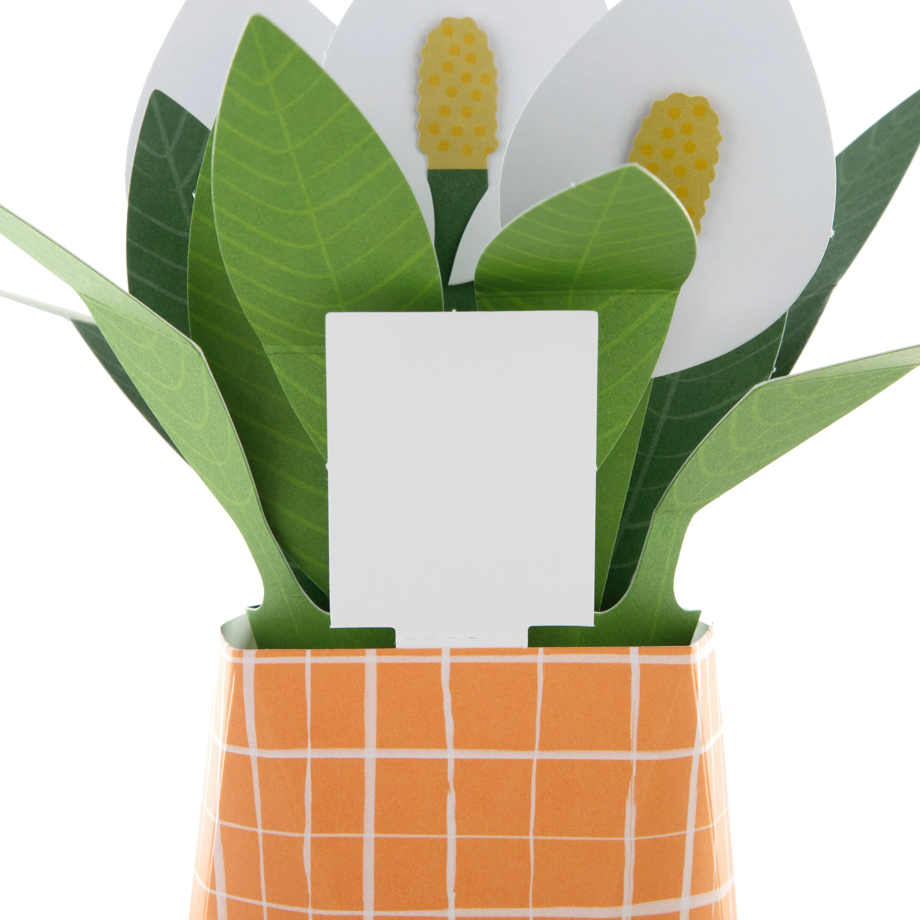 Pop-up Plant Card - Peace Lily Design - Image 4