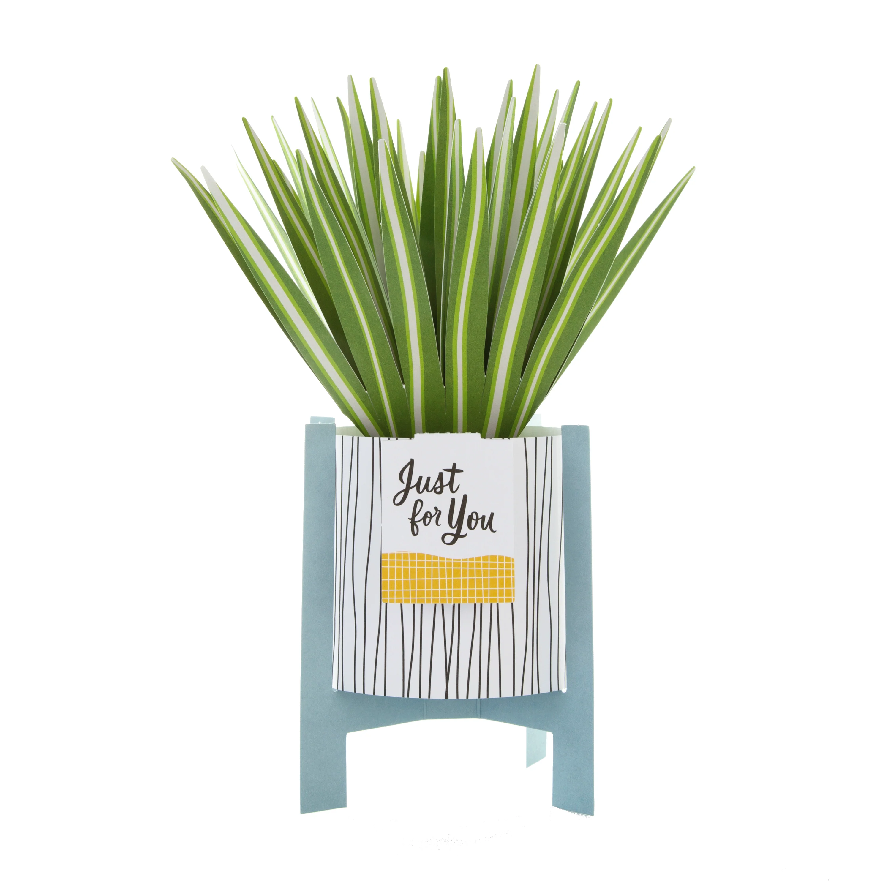 Pop-up Plant Card - Spider Plant Design - Image 3