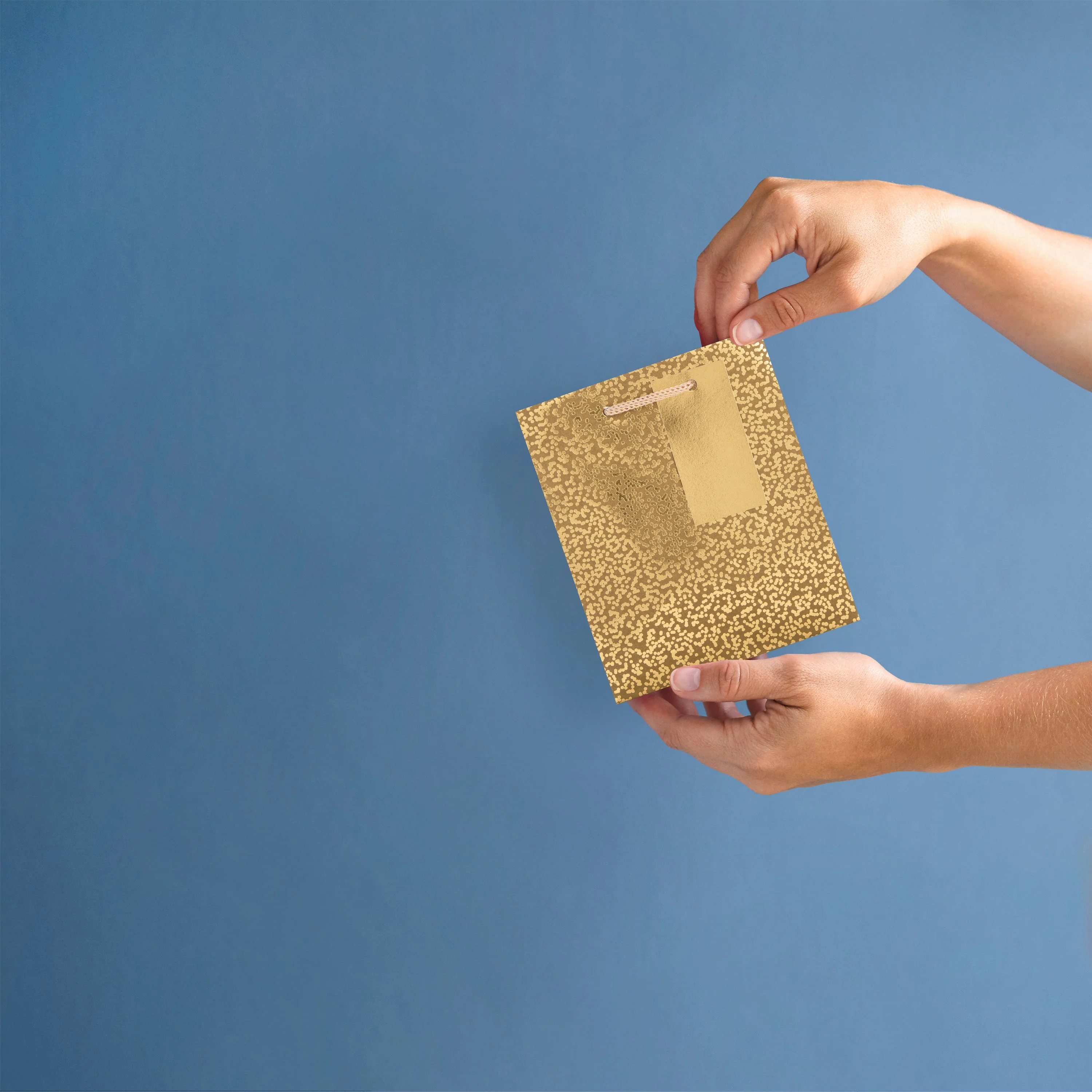 Small Gift Bag - Gold Speckled Design - Image 2