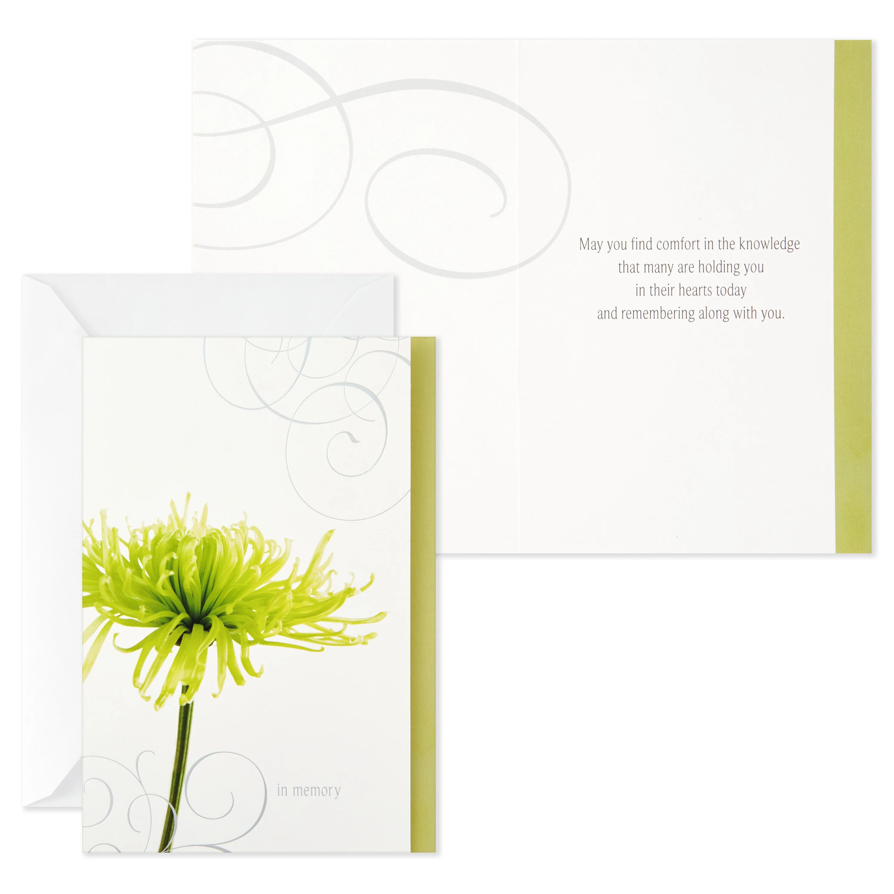 Sympathy Cards - Pack of 12 in 4 Photographic Floral Designs - Image 4