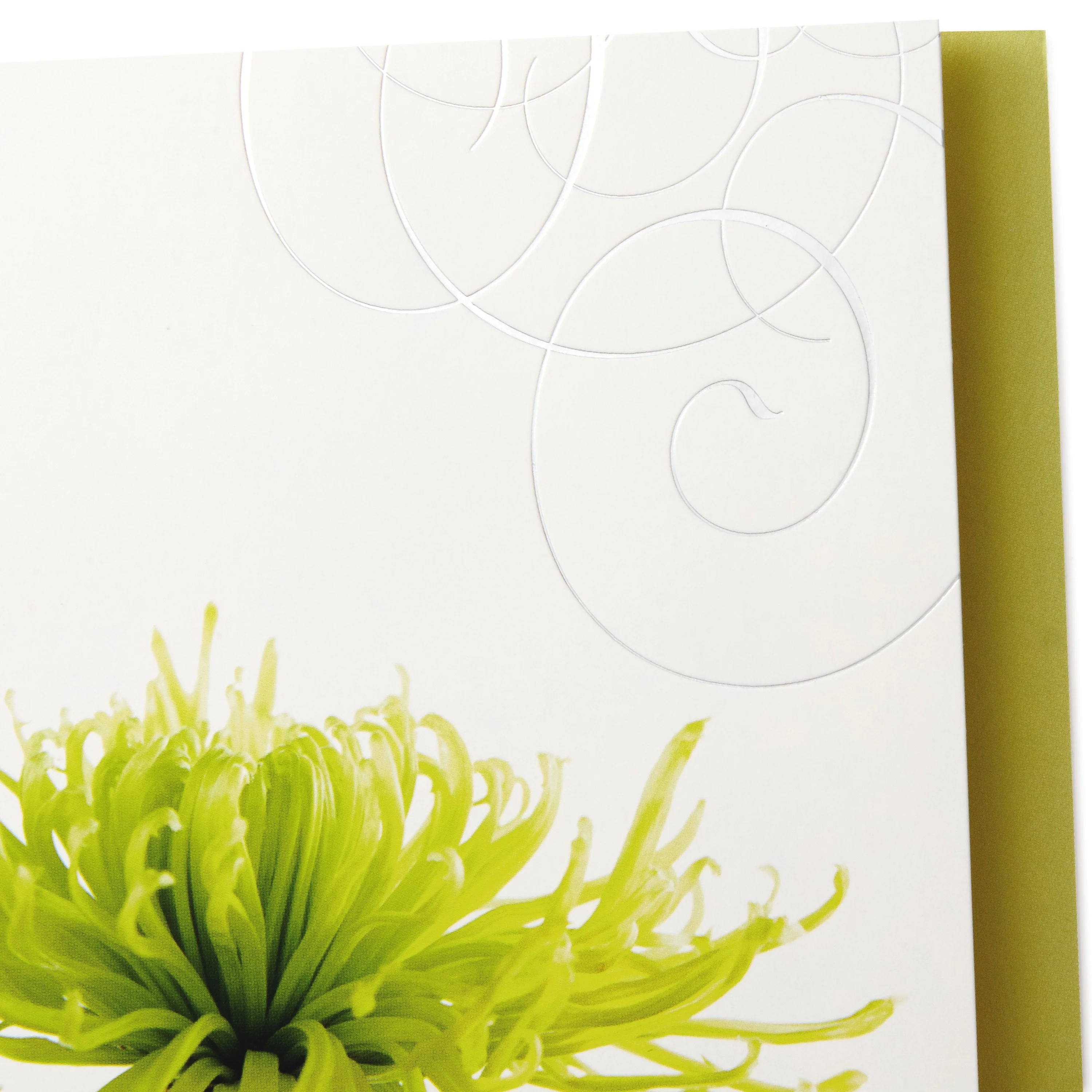 Sympathy Cards - Pack of 12 in 4 Photographic Floral Designs - Image 7