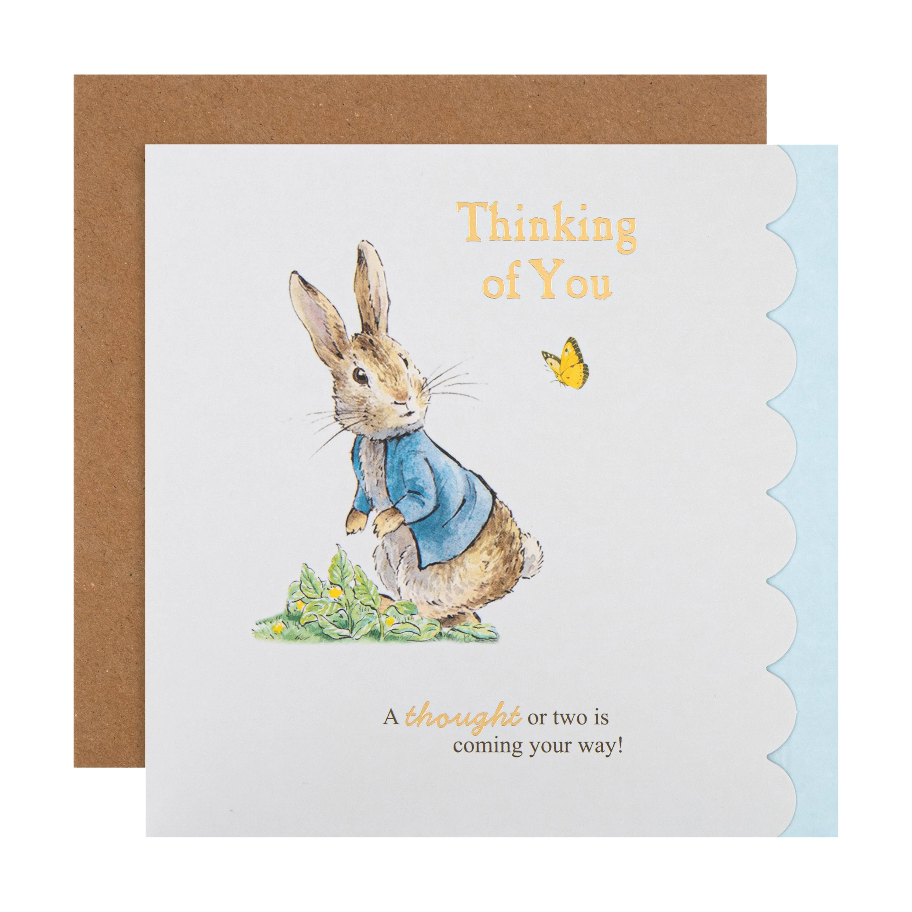 Thinking of You Card - Beatrix Potter Peter Rabbit™ Design