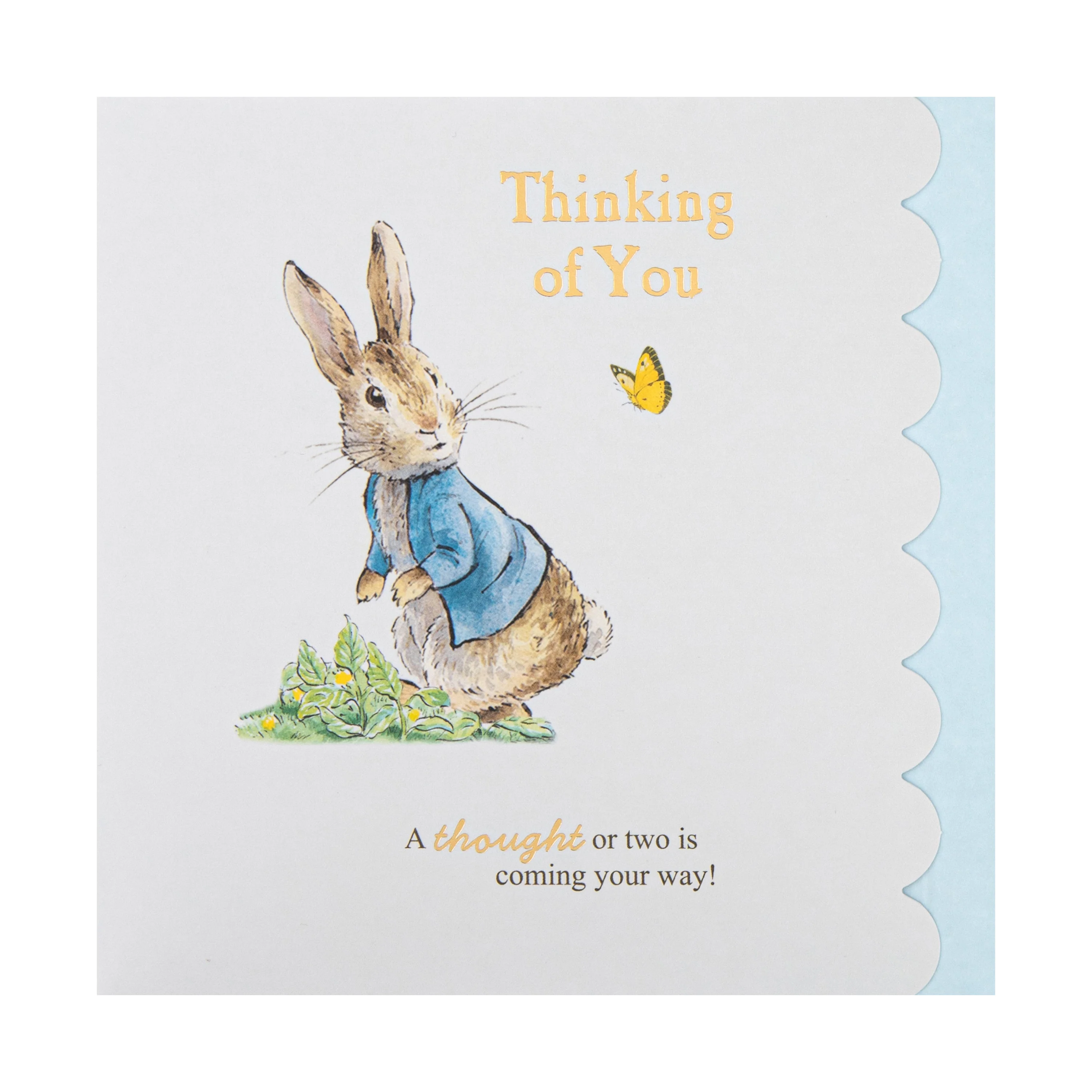 Thinking of You Card - Beatrix Potter Peter Rabbit™ Design - Image 4