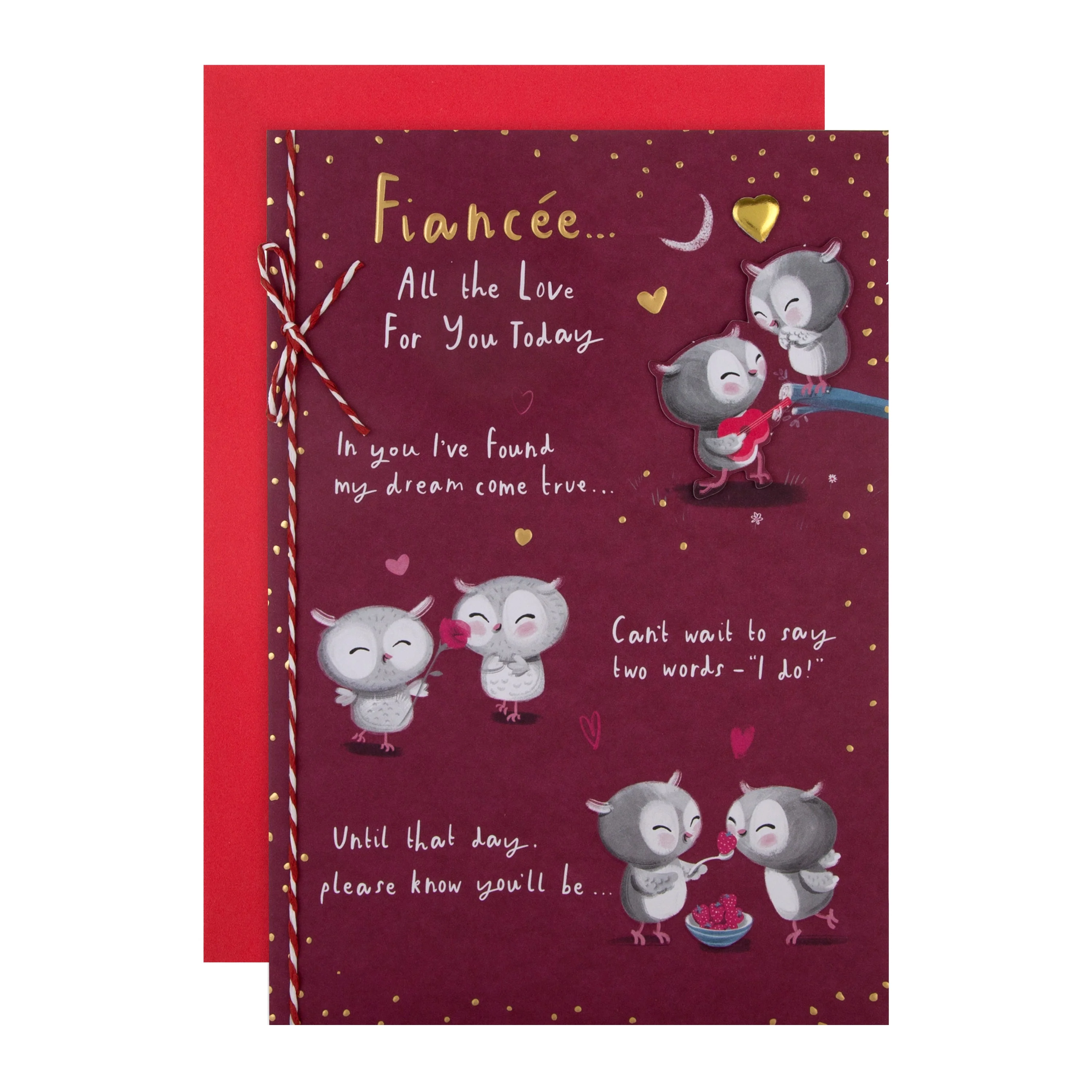 Valentine's Day Card for Fiancee - Cute Cartoon Owls Design with Gold Foil and 3D Add On
