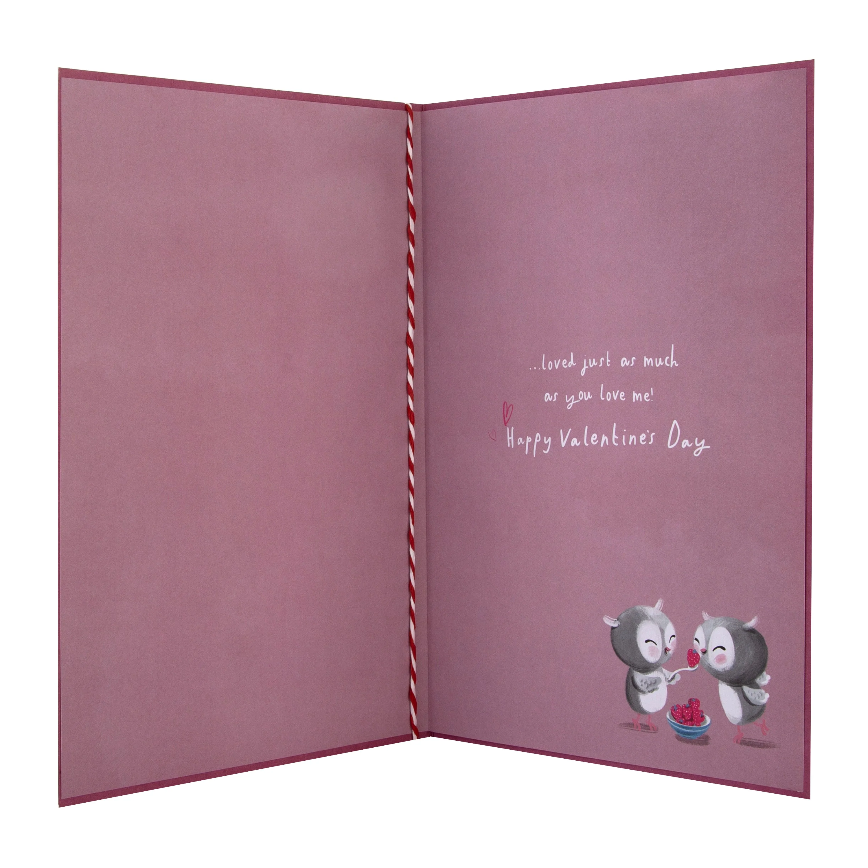 Valentine's Day Card for Fiancee - Cute Cartoon Owls Design with Gold Foil and 3D Add On - Image 2