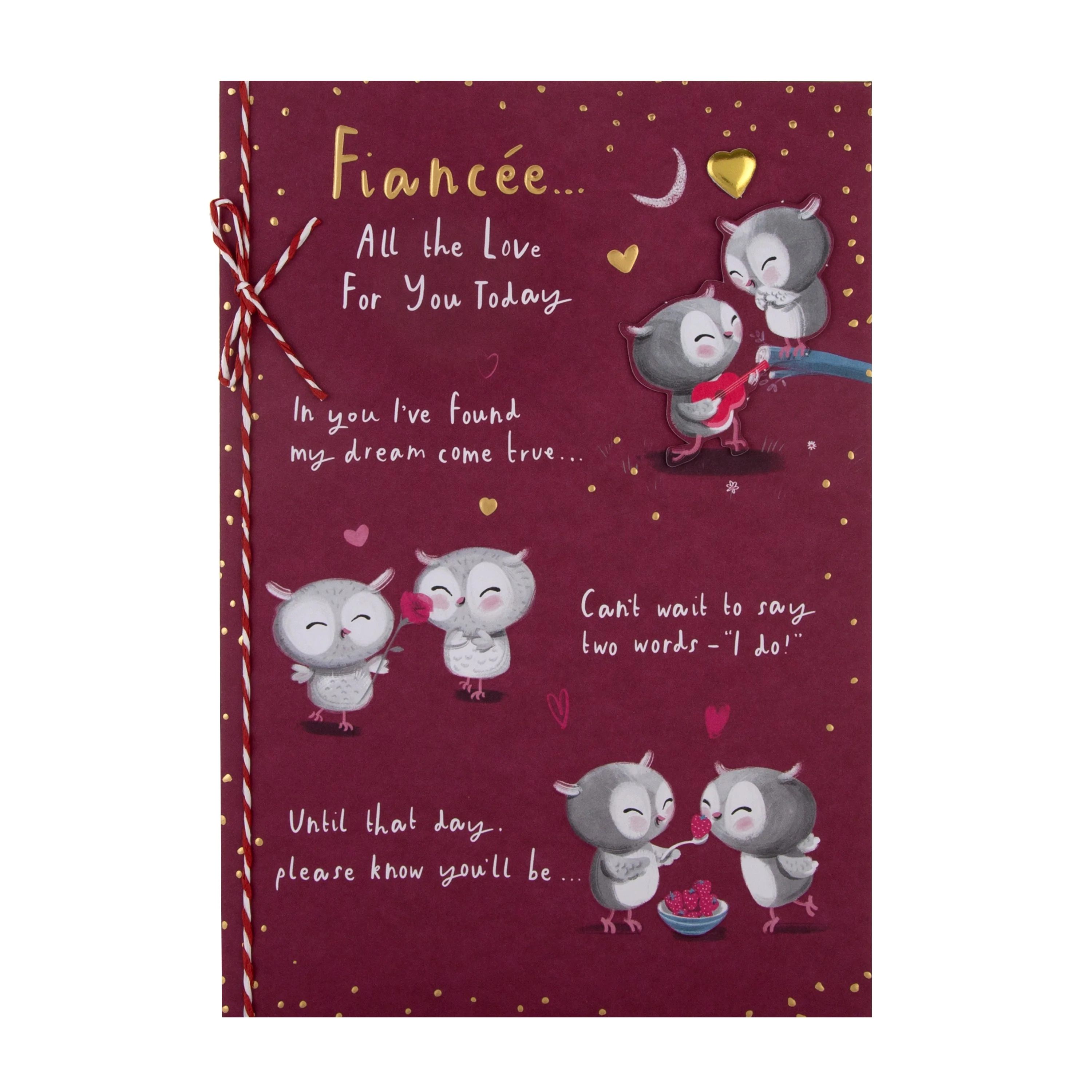 Valentine's Day Card for Fiancee - Cute Cartoon Owls Design with Gold Foil and 3D Add On - Image 3