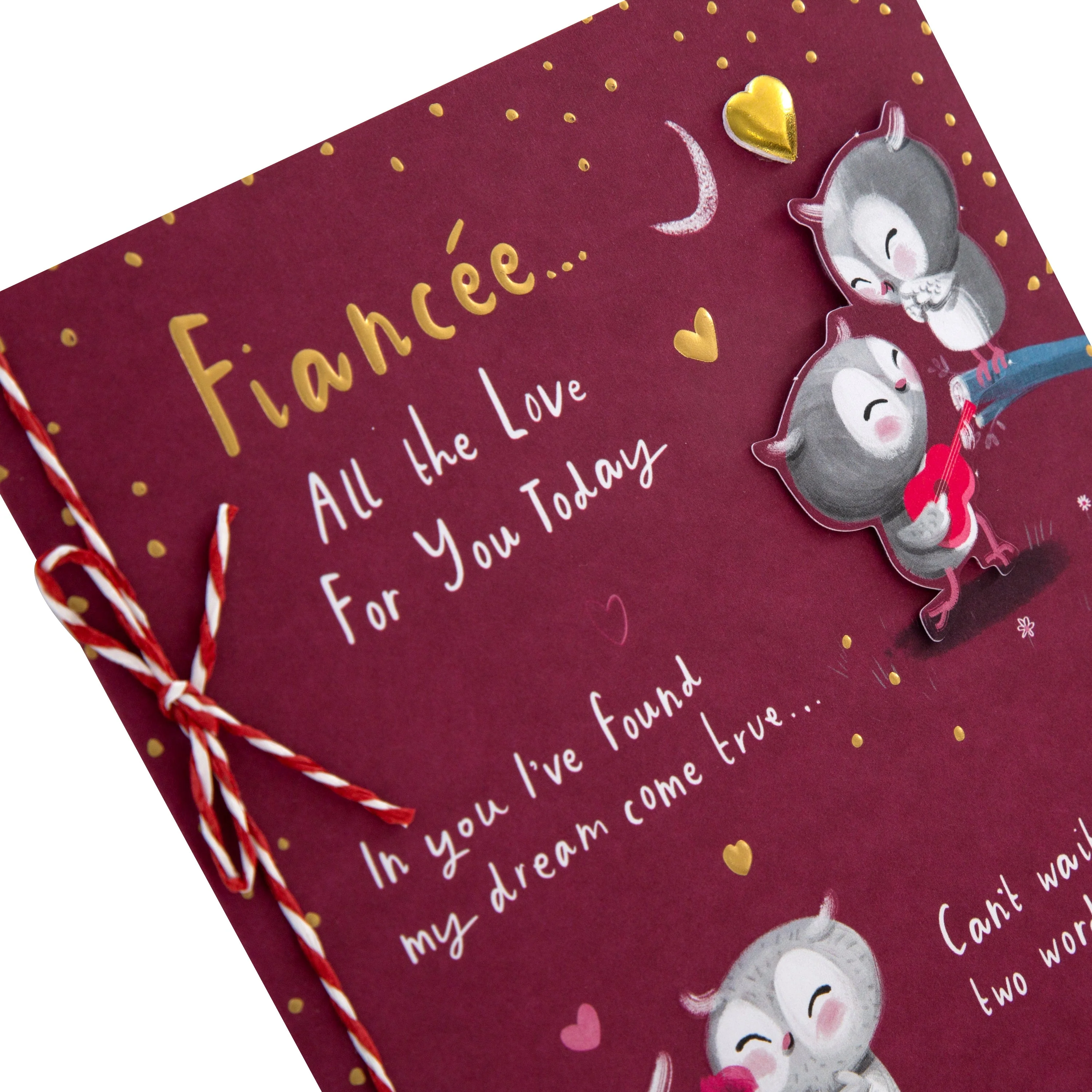 Valentine's Day Card for Fiancee - Cute Cartoon Owls Design with Gold Foil and 3D Add On - Image 4