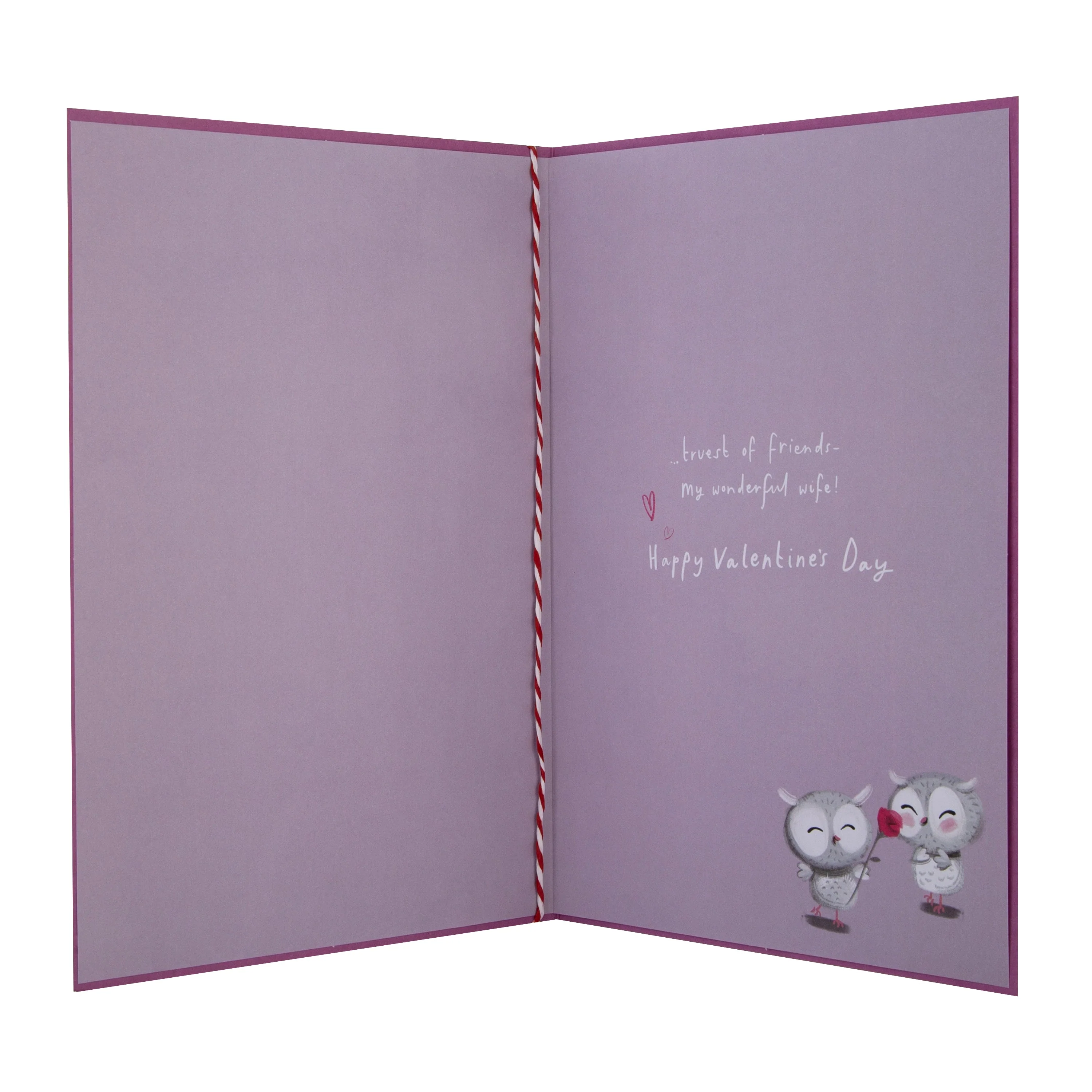 Valentine's Day Card for Wife - Cute Cartoon Owls Design with Gold Foil and 3D Add On - Image 2