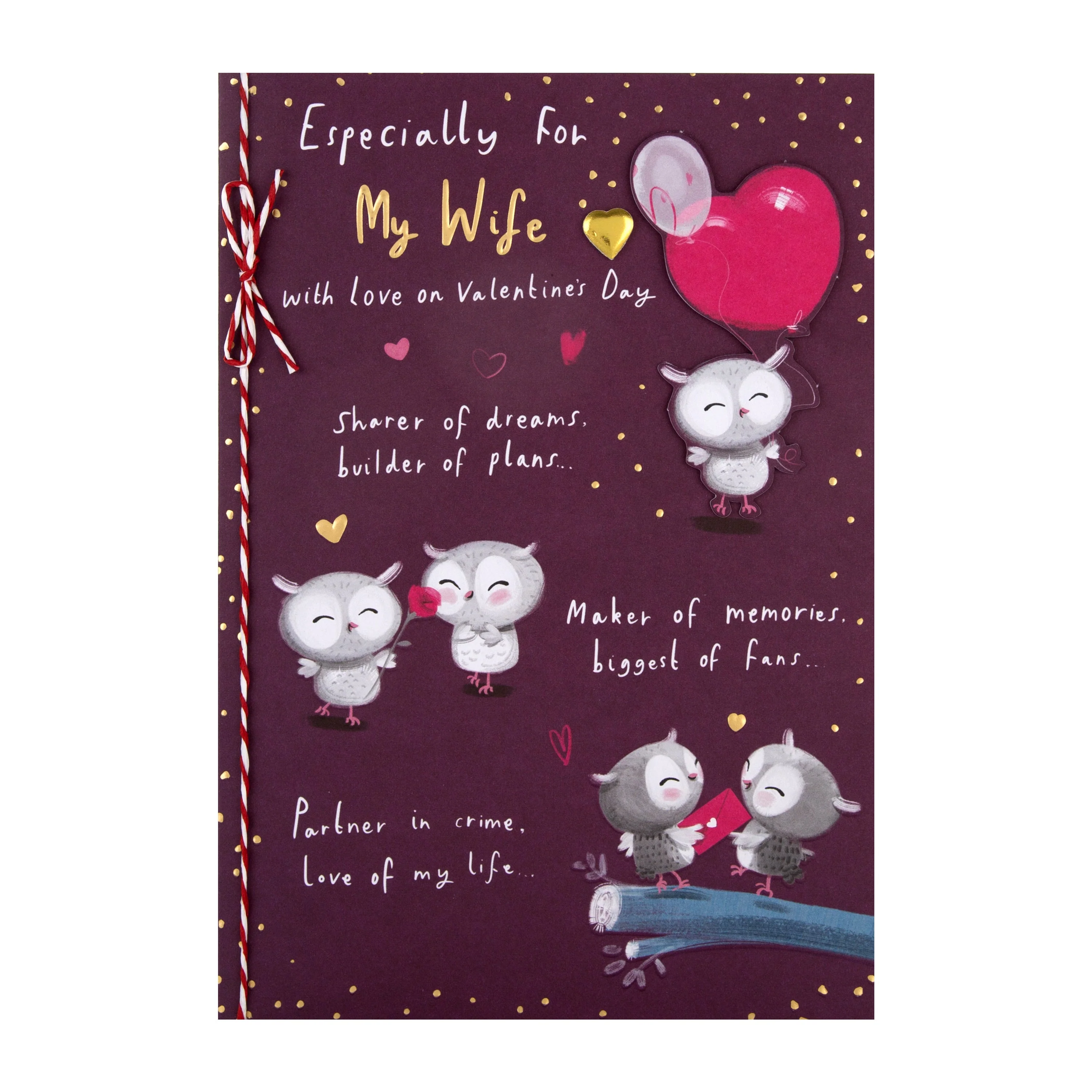 Valentine's Day Card for Wife - Cute Cartoon Owls Design with Gold Foil and 3D Add On - Image 3