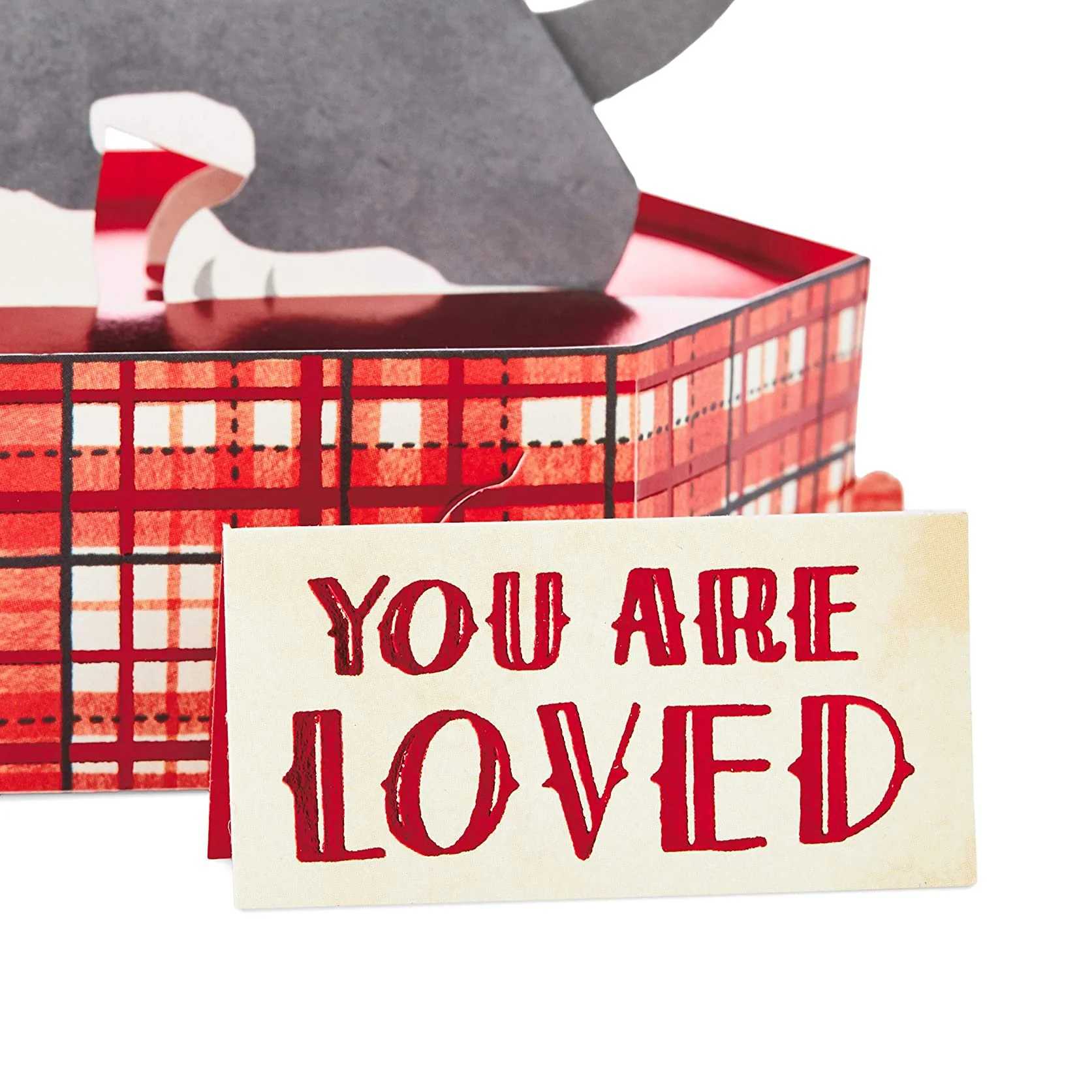You Are Loved Dog With Heart Mini Pop Up Valentine's Day Card - Image 3